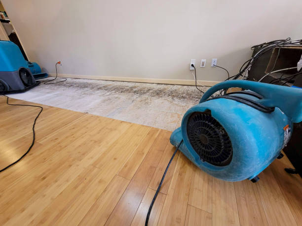 Professional Water Removal technician working in Highland Park, PA